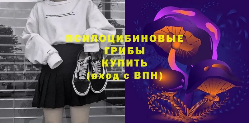 Псилоцибиновые грибы Psilocybe  Палласовка 